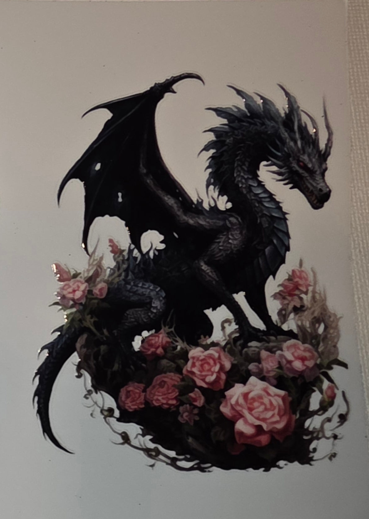 Dragons