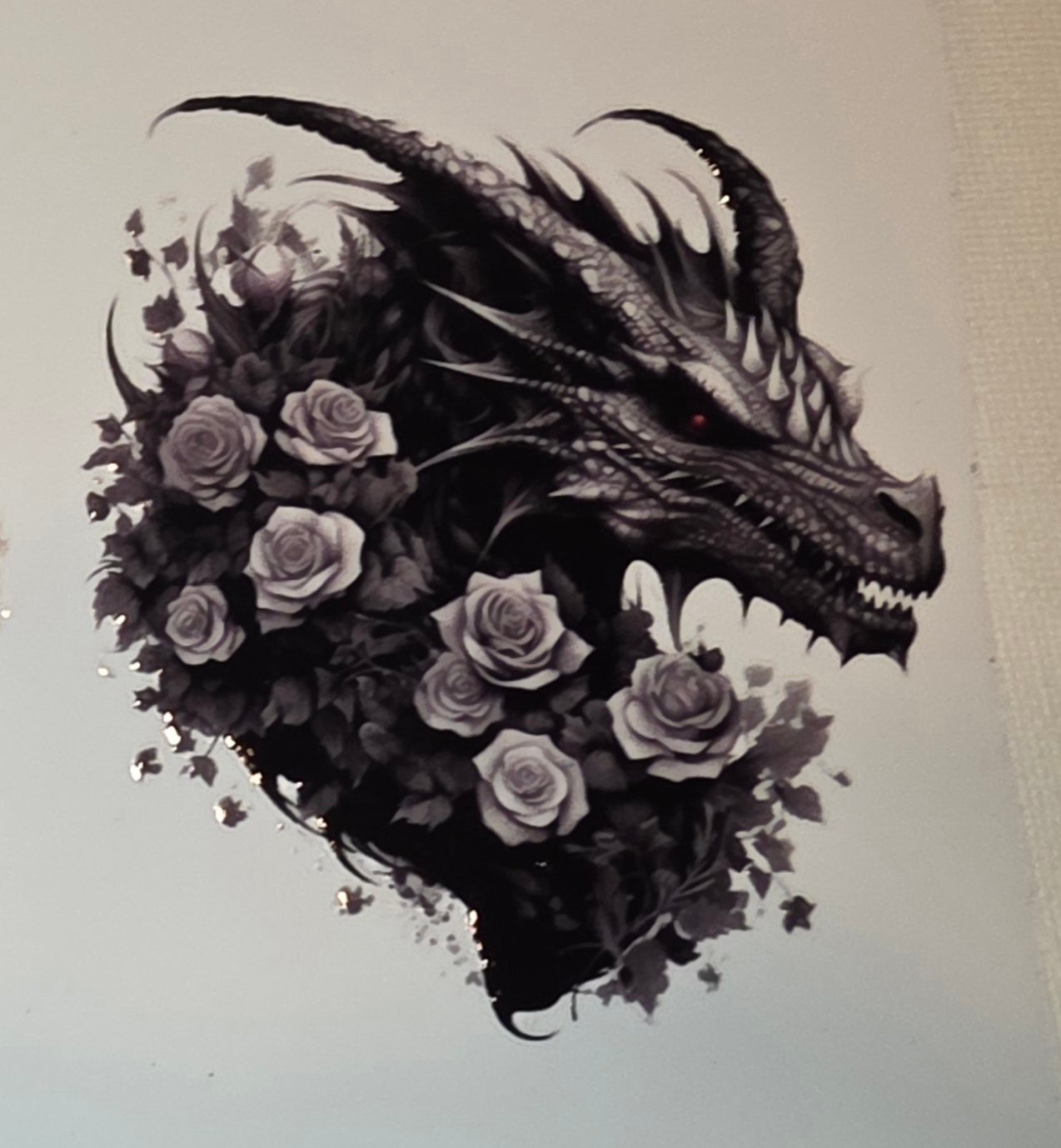Dragons🐉