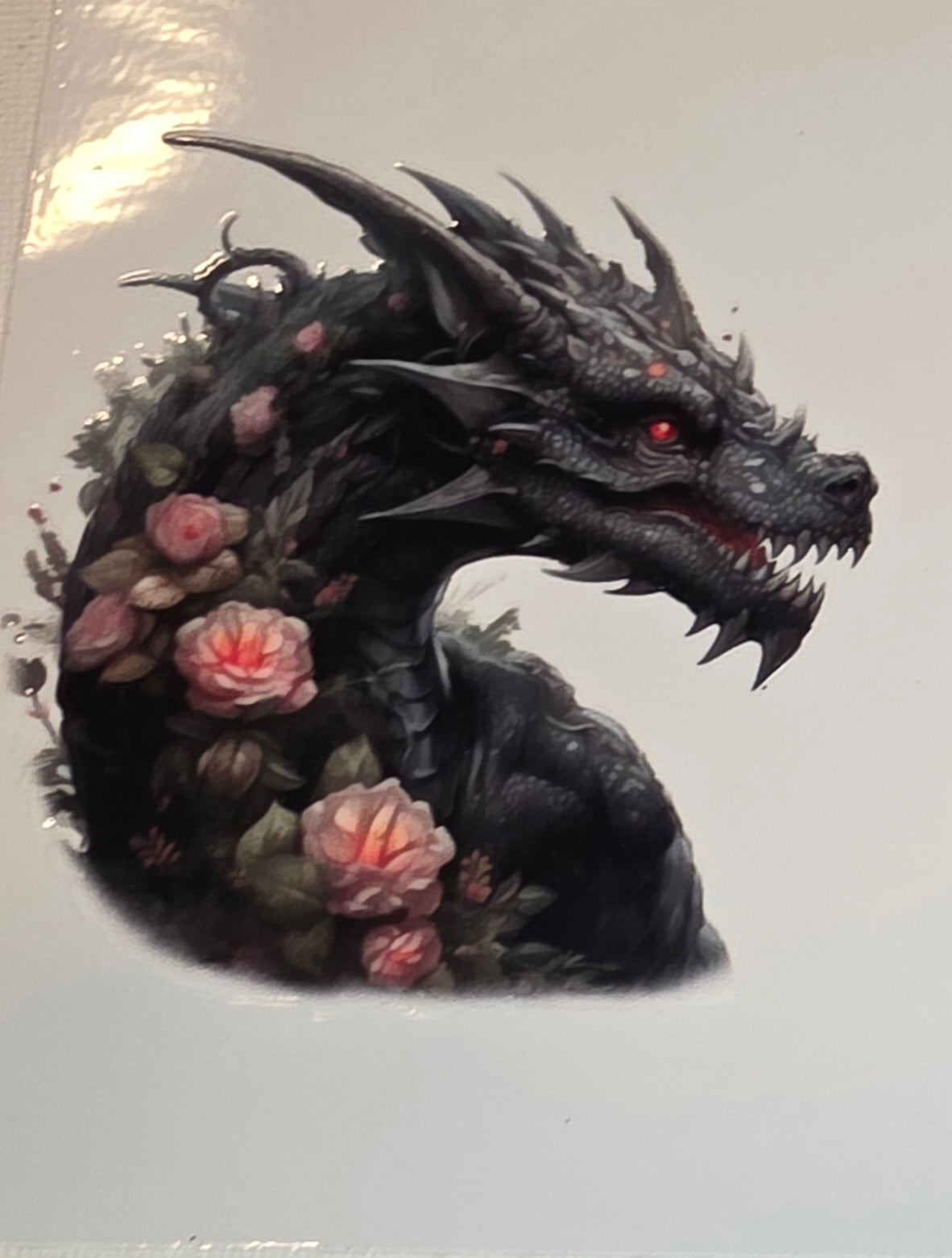Dragons🐉