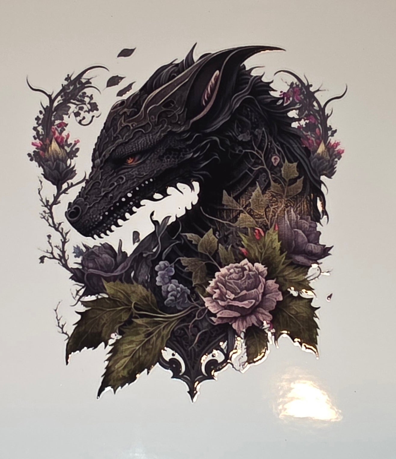 Dragons