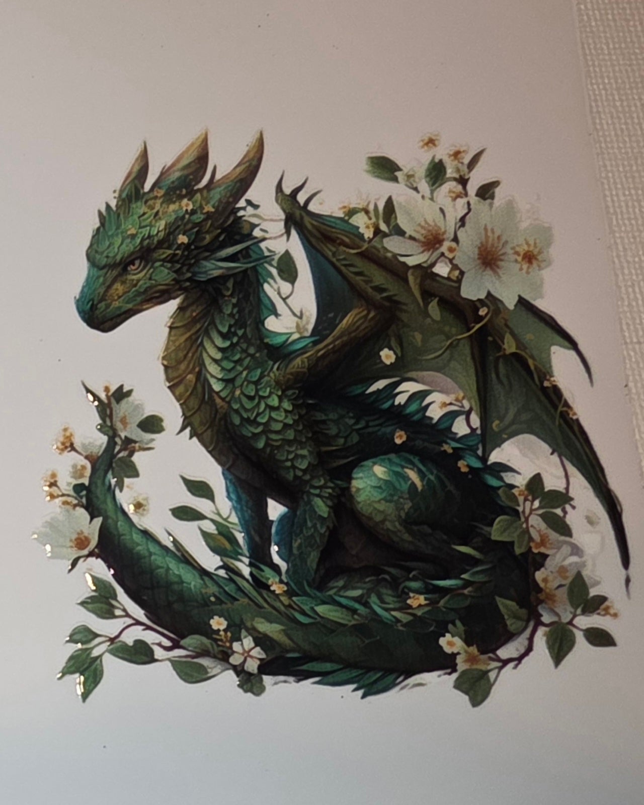 Dragons🐉