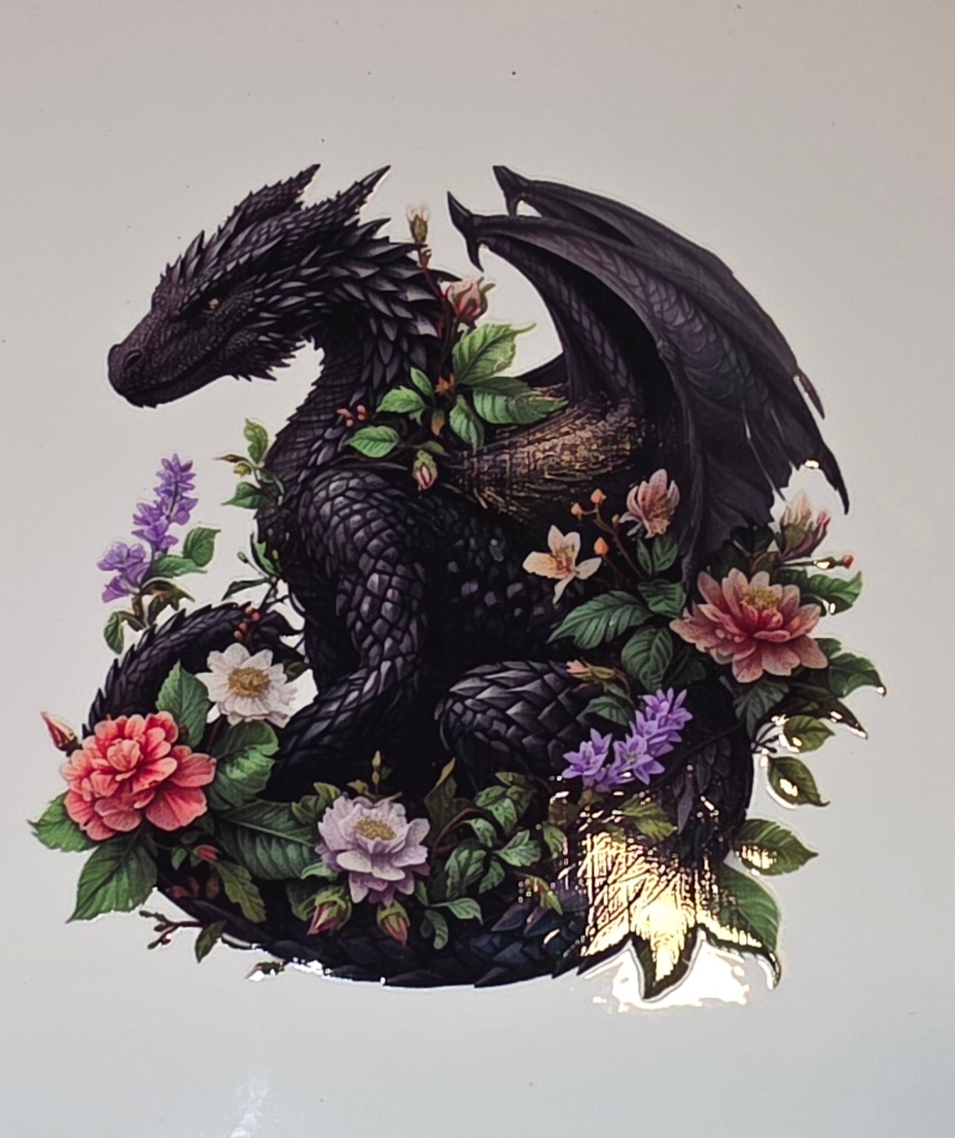 Dragons🐉