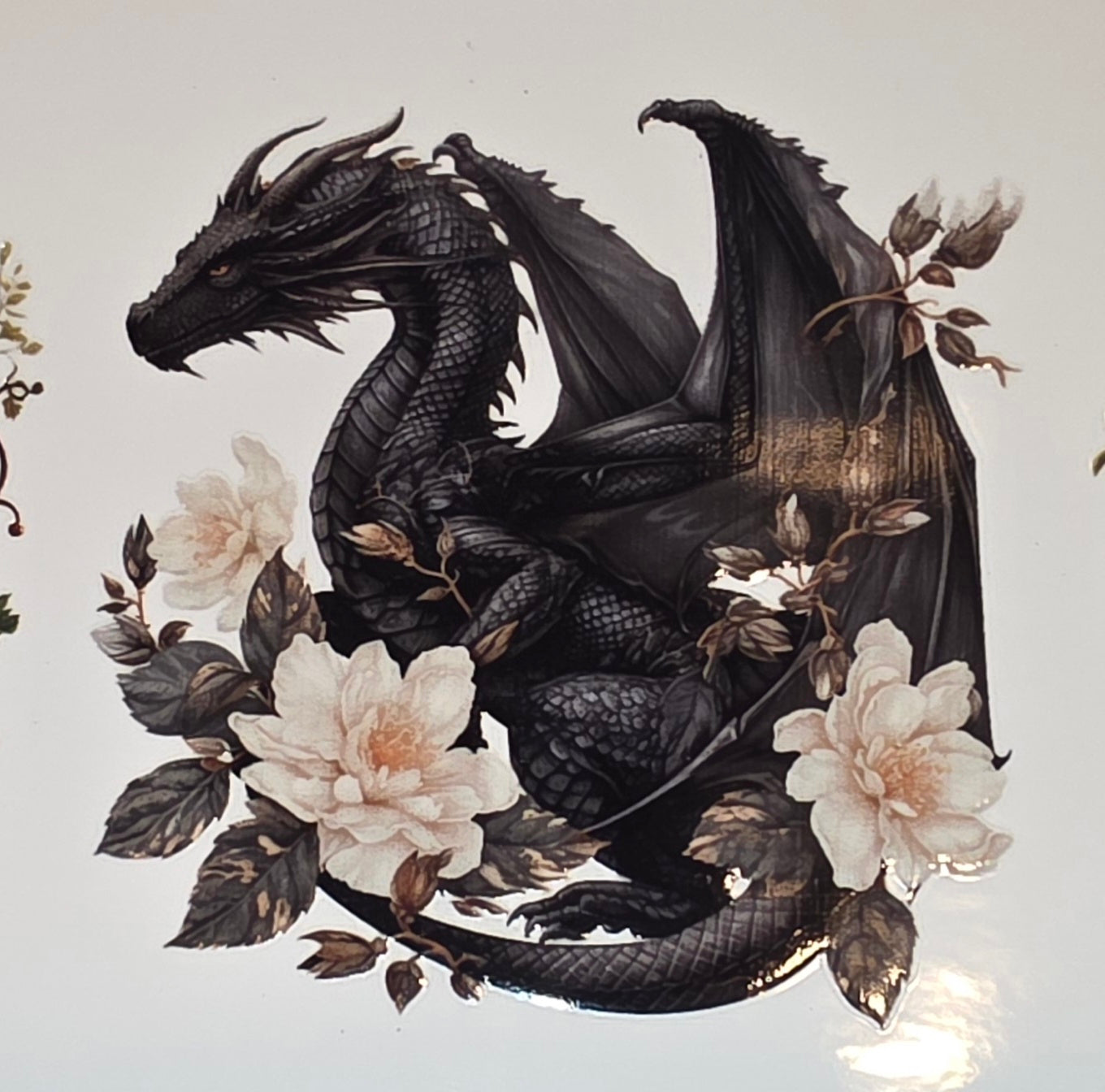 Dragons🐉