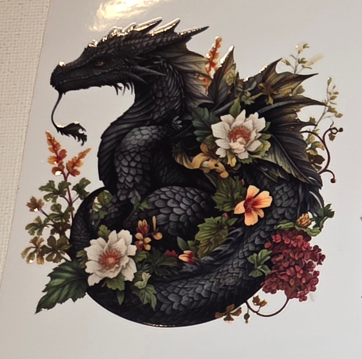 Dragons🐉
