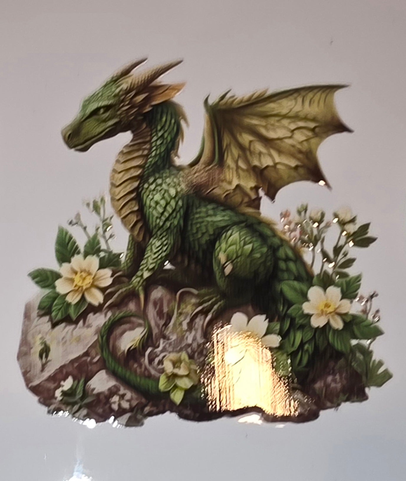 Dragons