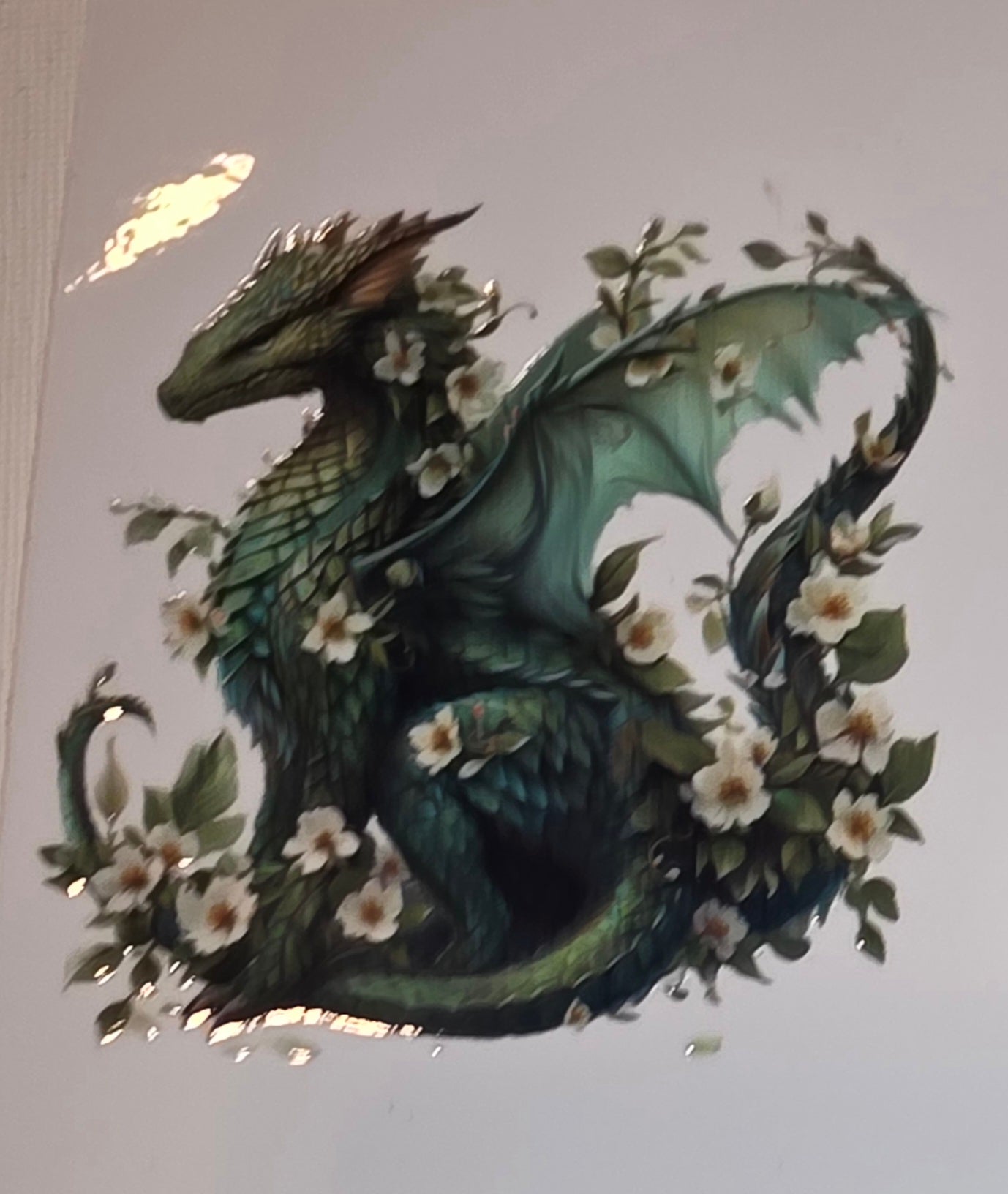 Dragons