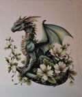 Dragons