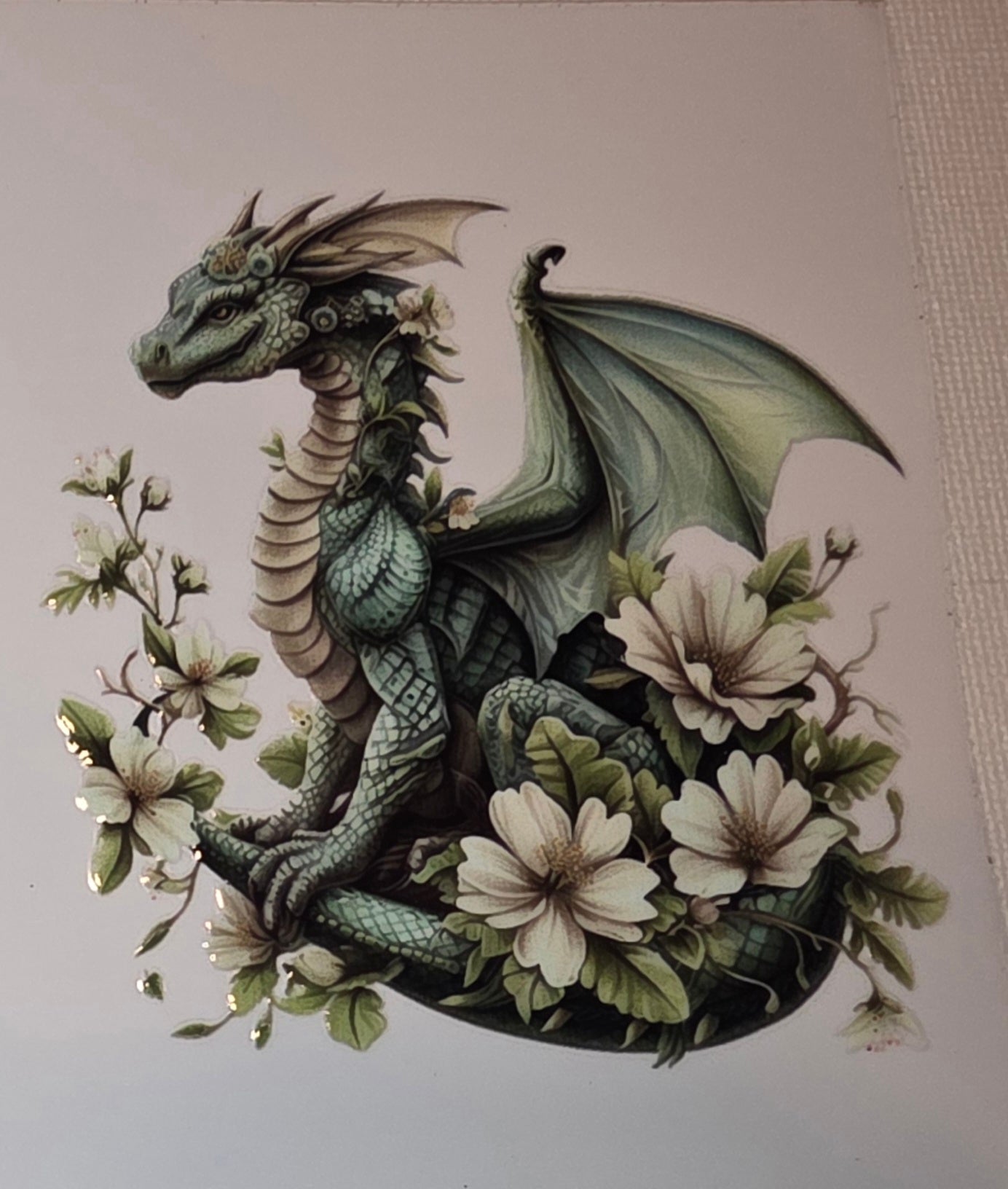 Dragons