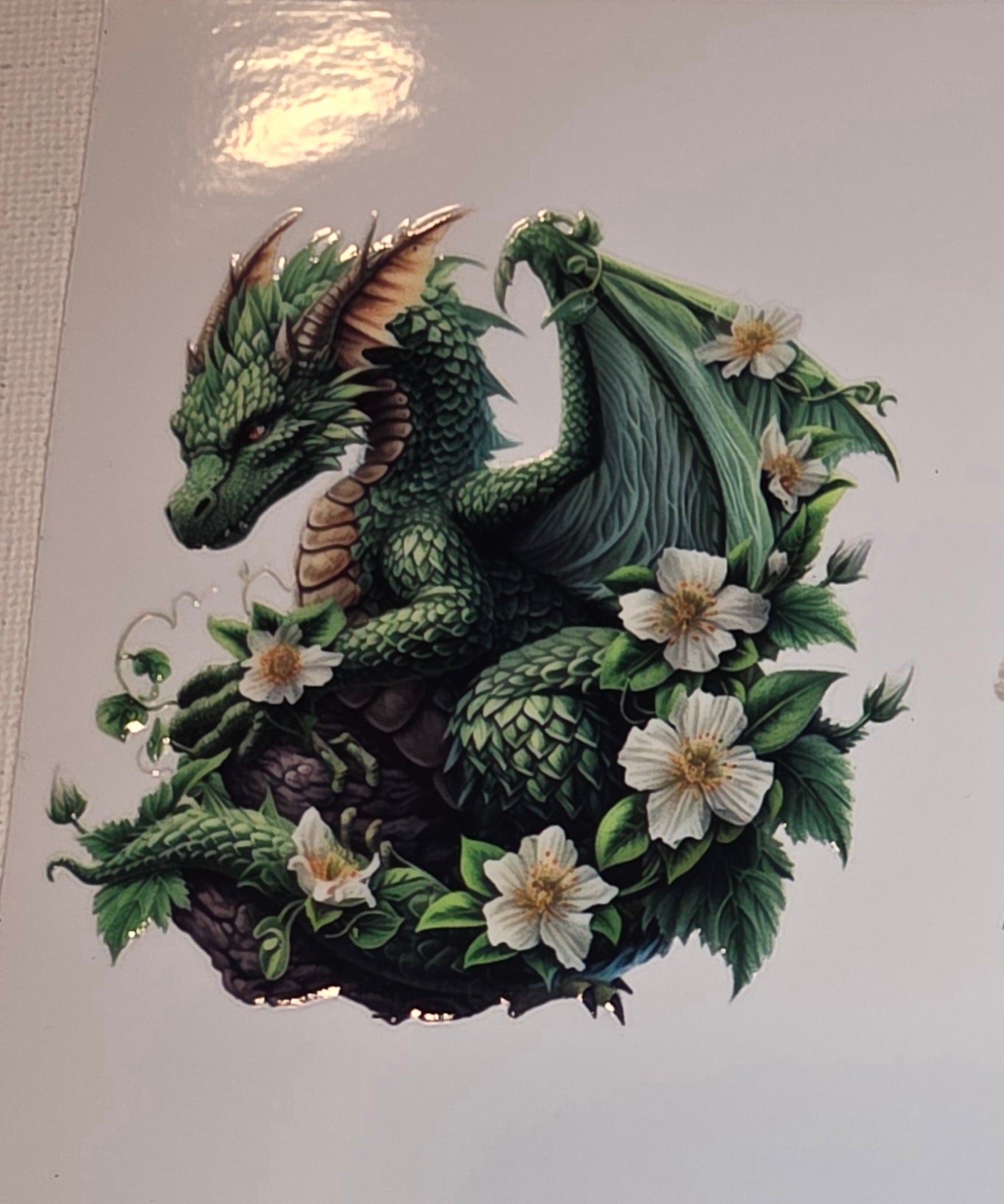 Dragons