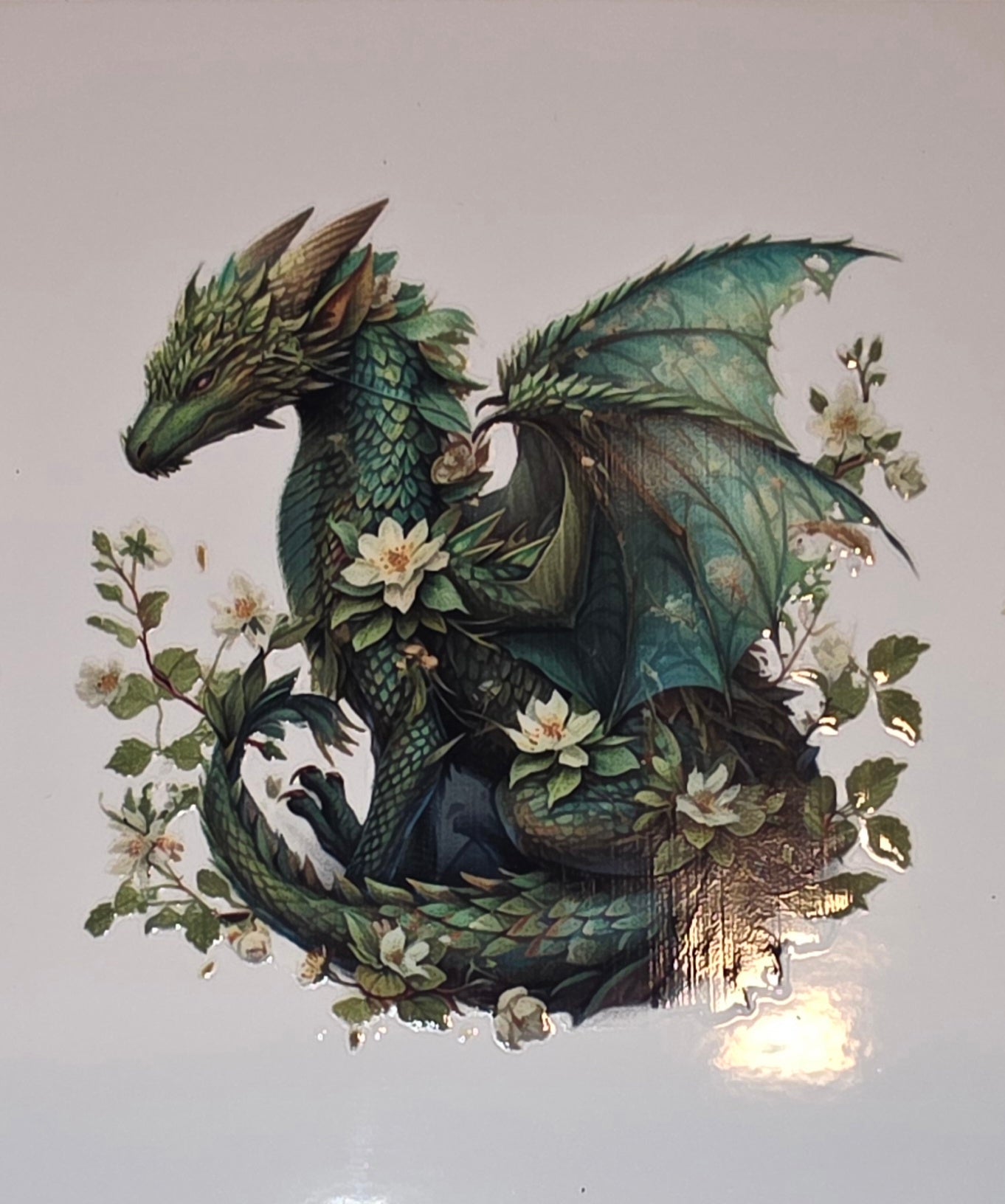 Dragons