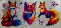 Colorful Fox