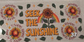 Seek the Sunshine
