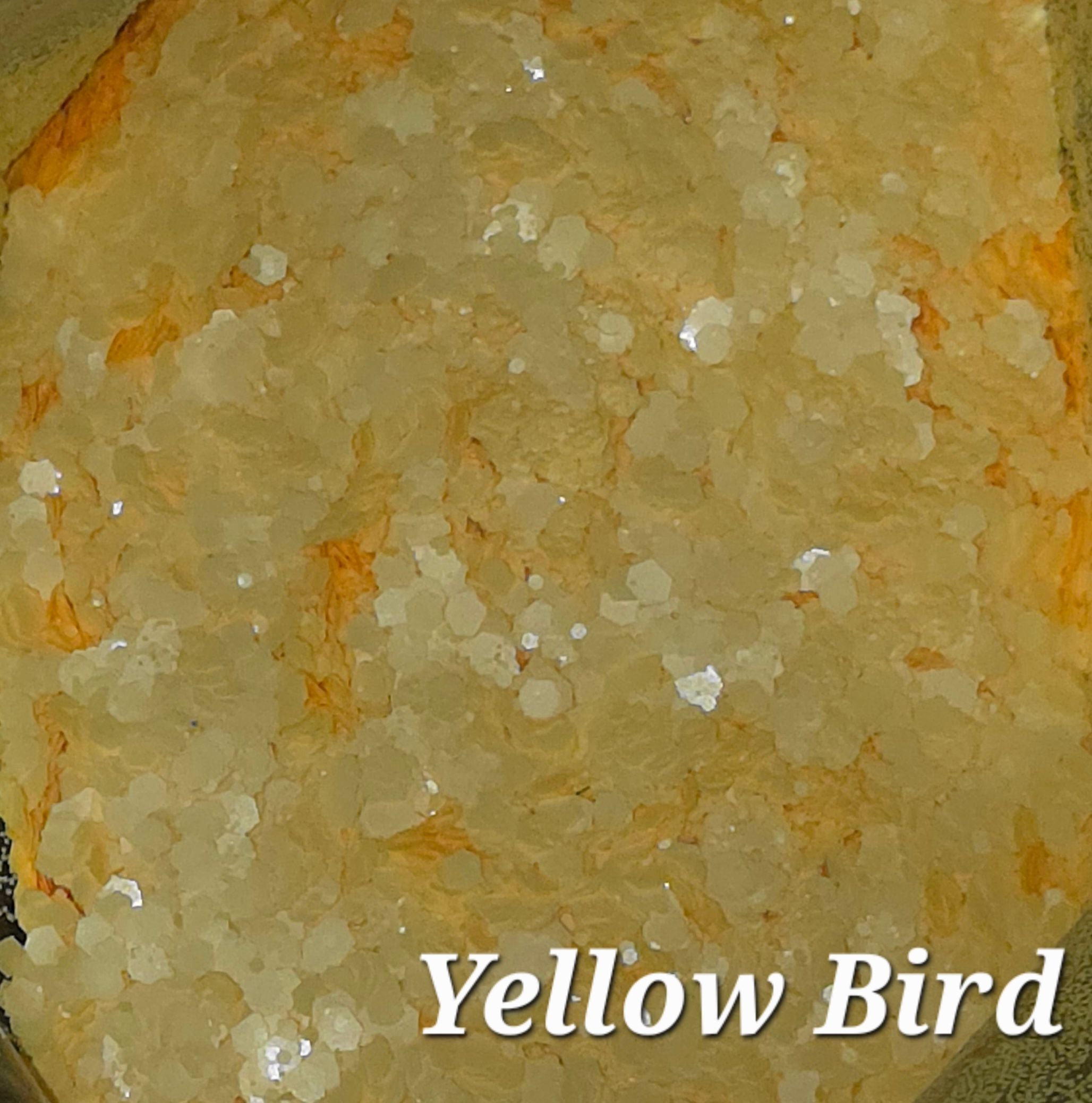 Yellow Bird