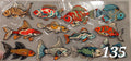Aquarium Fish
