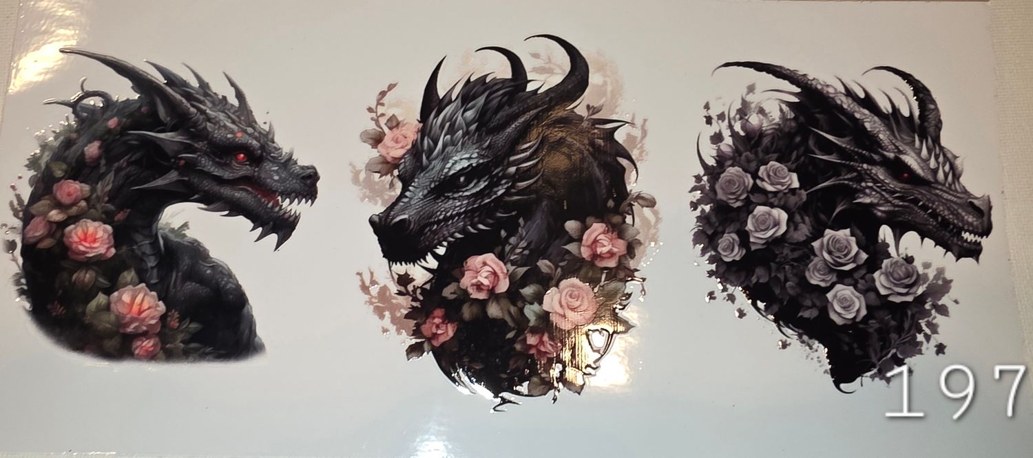 Dragons