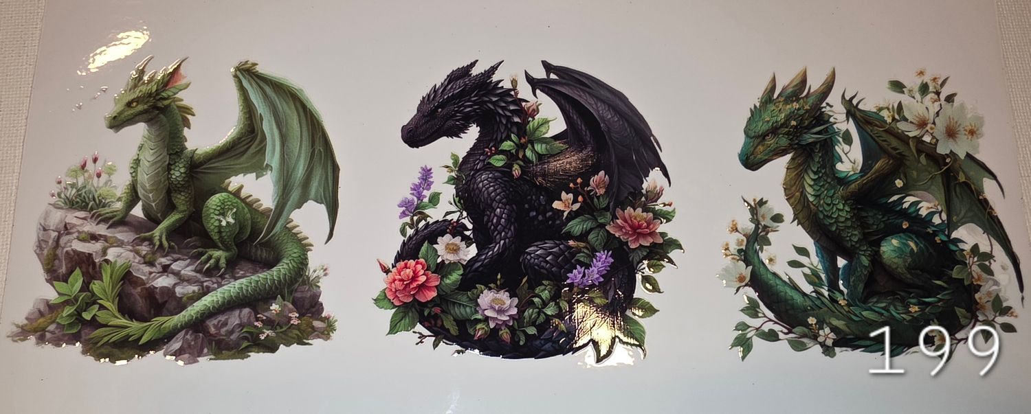Dragons